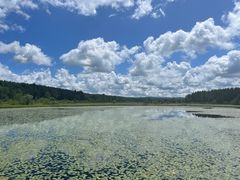 -塞罕坝国家级自然保护区