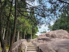 -玉苍山国家森林公园