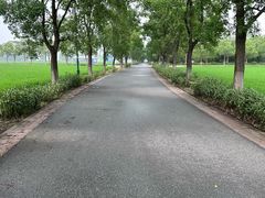 -嘉北郊野公园