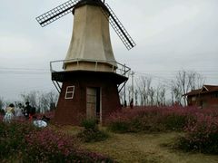 -绵阳盛世樱花悠乐谷