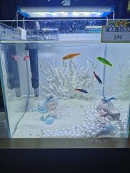 -造物庄园 萌宠纪(苏州湾歌林公园店)
