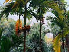 -西双版纳洲际度假酒店-泰傣餐厅