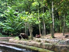 -河川生态园