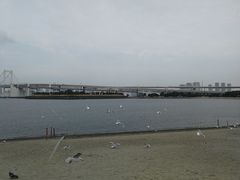 -台场海滨公园船码头