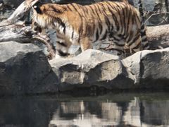 -祥源·阜阳生态乐园