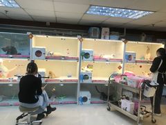 -lincat·猫舍(广州店)