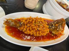 -新概念东北菜(场北店)