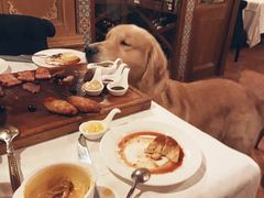 -火车头法国西餐厅