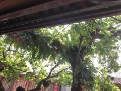 -星巴克(福州三坊七巷店)