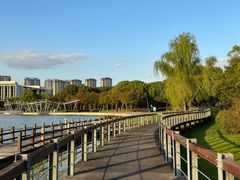 -尚贤河湿地