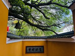 -普陀山风景区-佛顶山