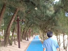 -马銮湾景区