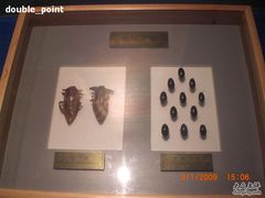 -上海昆虫博物馆