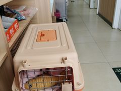 -宠福鑫康馨动物医院·骨科·眼科