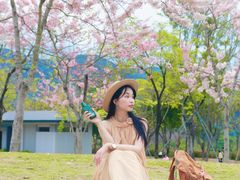 -白石龙音乐公园