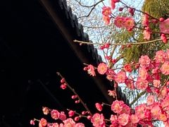 -岳王庙
