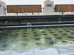-清水湾足道馆
