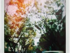 -日の船章鱼小丸子(步行街店)