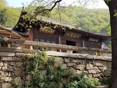 -秦岭风景区