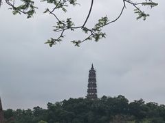 -顺峰山公园