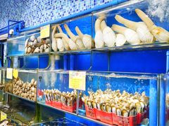 -蚝专家(北滘店)