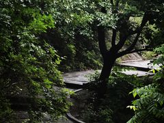 -云蒙山风景区