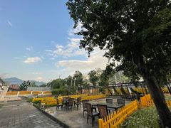 -Sultan pakistan苏单巴基斯坦
