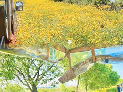 -七的湖·晚芳亭·阳澄湖农家菜·大闸蟹(莲花岛店)