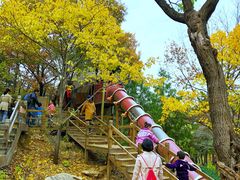 游乐设施-北京西山国家森林公园