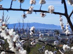 -北京十三陵国家森林公园蟒山景区