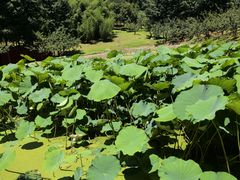 -全国宣传干部学院(怀柔校区)