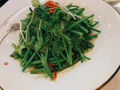 豌豆苗-渔娘渔家丹东海鲜(东直门店)