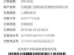 -厦门高崎国际机场T4航站楼-停车场
