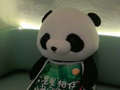 -眉州东坡·熊猫主题餐厅(枫蓝店)