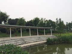 -尚贤河湿地