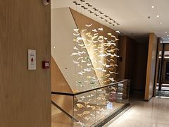 -茂昌眼镜(南京东路店)