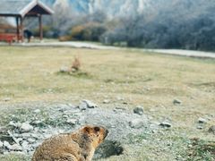 -墨石公园景区