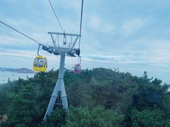 -摩天岭风景区