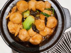 -新雅粤菜馆(南京东路店)