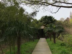 -同里国家湿地公园
