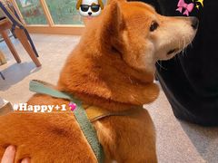 -三目仓咖啡(贤南路店)