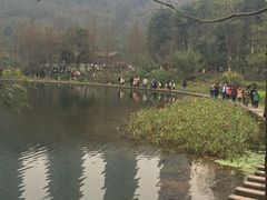 -重庆彩云湖湿地公园
