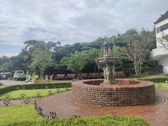 -济州森林小火车生态公园