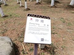 -苏州太湖国家湿地公园