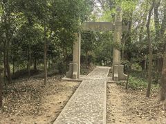 -上海佘山国家森林公园天马山园