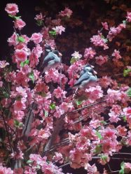 -酷嗒动物文化乐园(cutezoo西溪乐天城店)