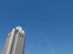 -院士公园