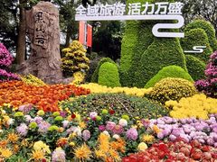 -南山植物园