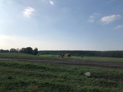 -塞罕坝国家级自然保护区