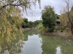 -韩湘水博园